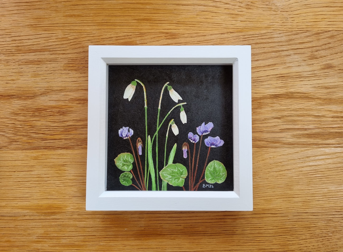Snowdrop, Cyclamen
