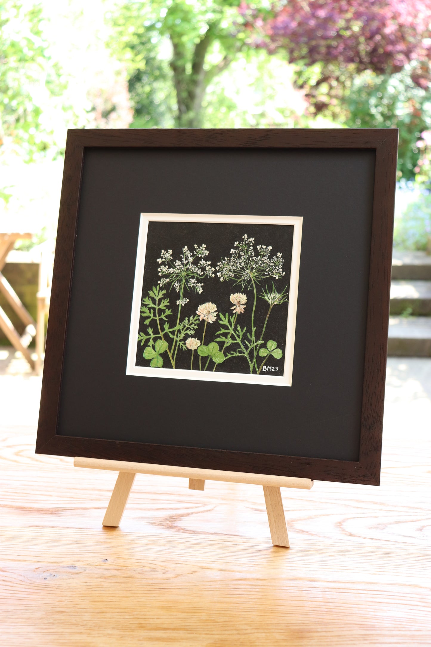 Wild Carrot, Clover